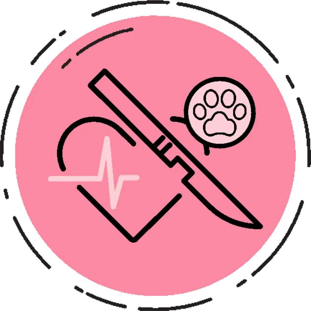 Cirurgias de Pequenos Animais