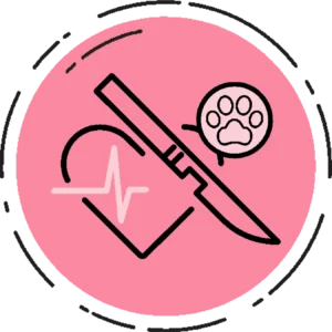 Cirurgias de Pequenos Animais