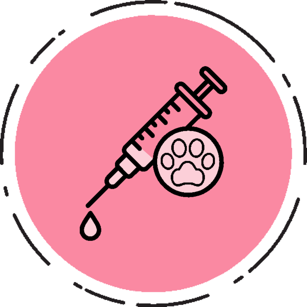 Vacinas e Medicamentos